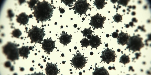 Triploidia: um cromossomo a mais que muda tudo