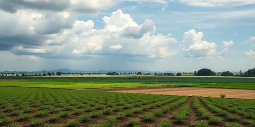 Backup para TOTVS Agro com QNAP e Hybrid Backup Sync: como proteger dados críticos da operação no agronegócio
